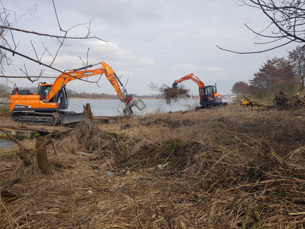 Bomen rooien Limburg